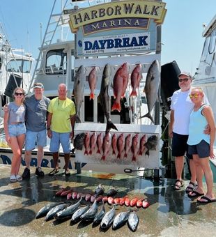 Chasing Red Snapper in Destin's Blue!